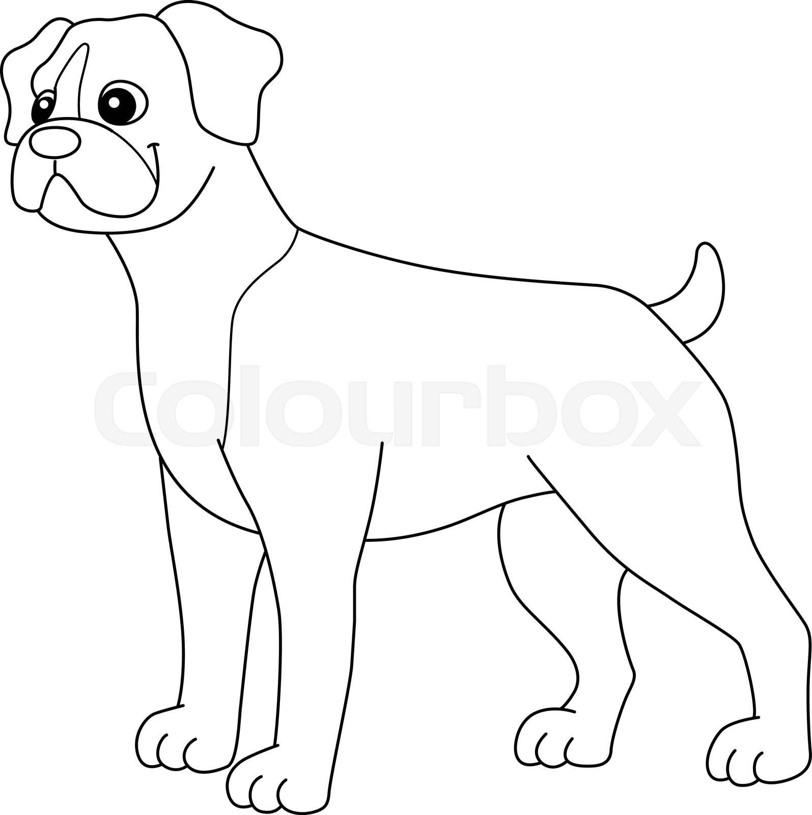 Boxer dog coloring page for kids stock vector