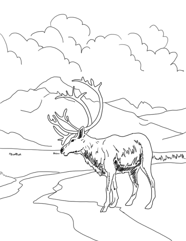 Coloring pages