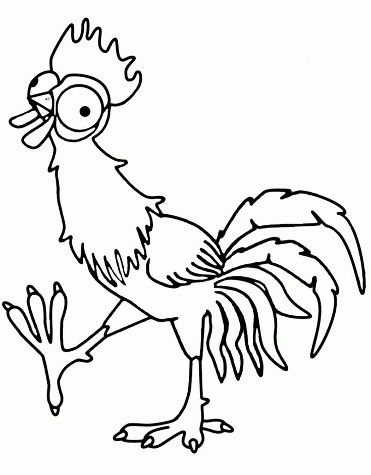 Chicken coloring pages