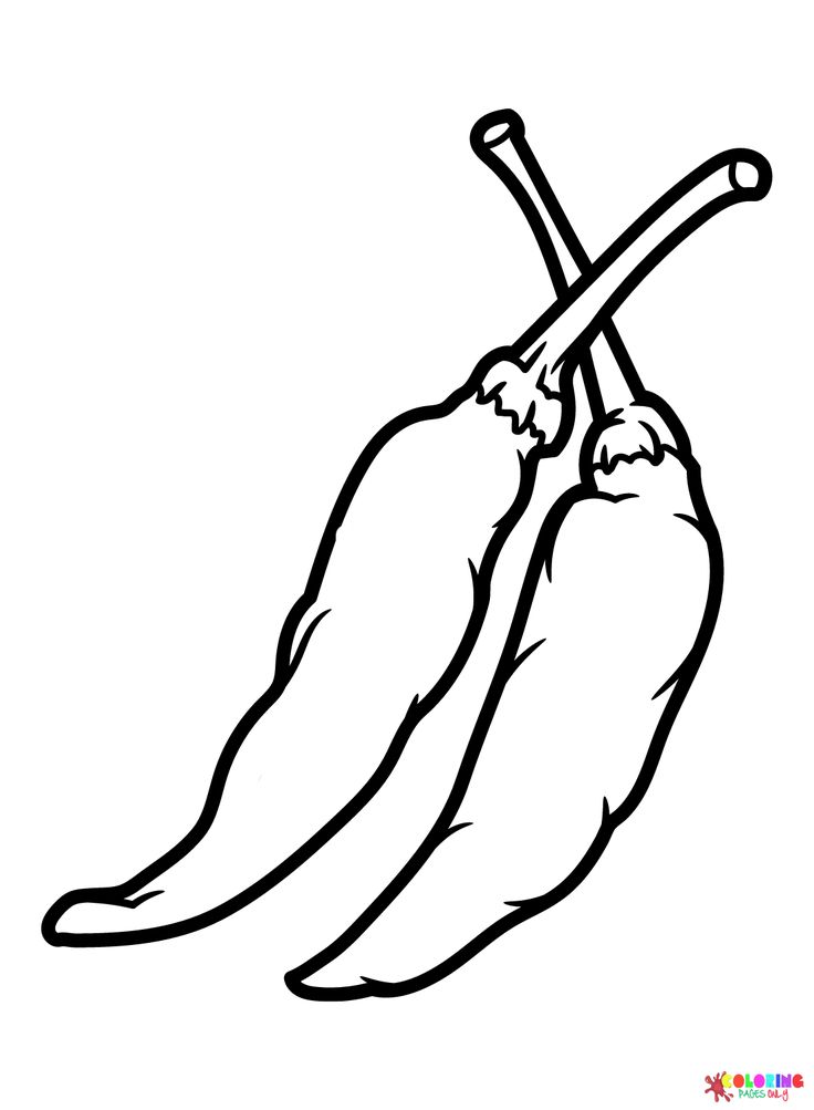 Chili pepper coloring pages green chili peppers chili pepper coloring pages