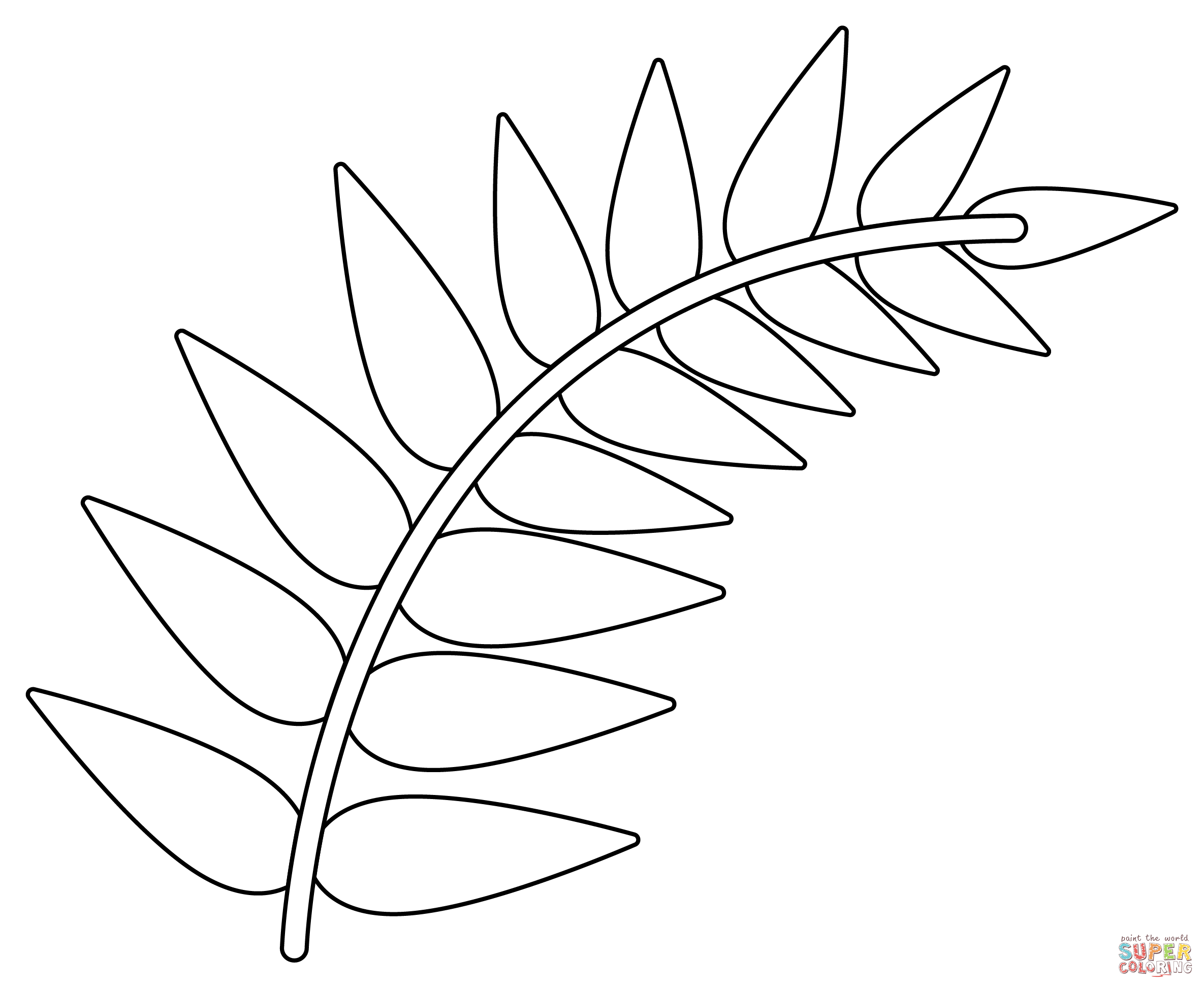 Fern coloring page free printable coloring pages