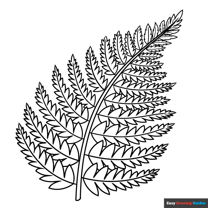 Fern coloring page easy drawing guides