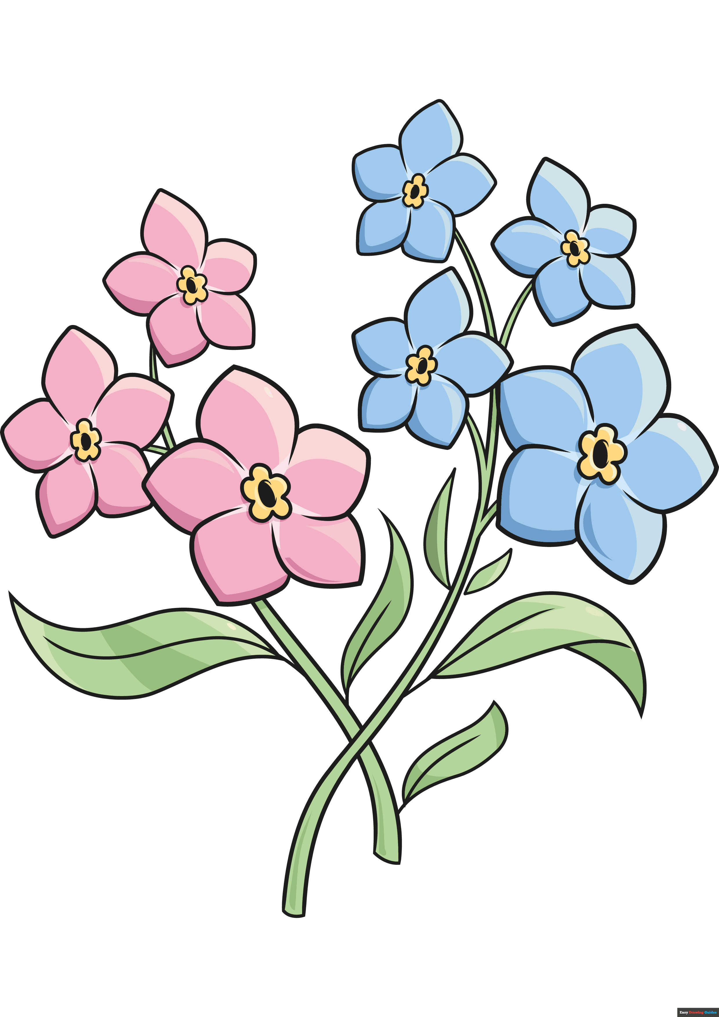 How to draw forget me not flowers