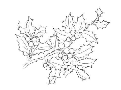 Christmas holly berries coloring page free printable coloring pages coloring pages christmas holly free printable coloring pages