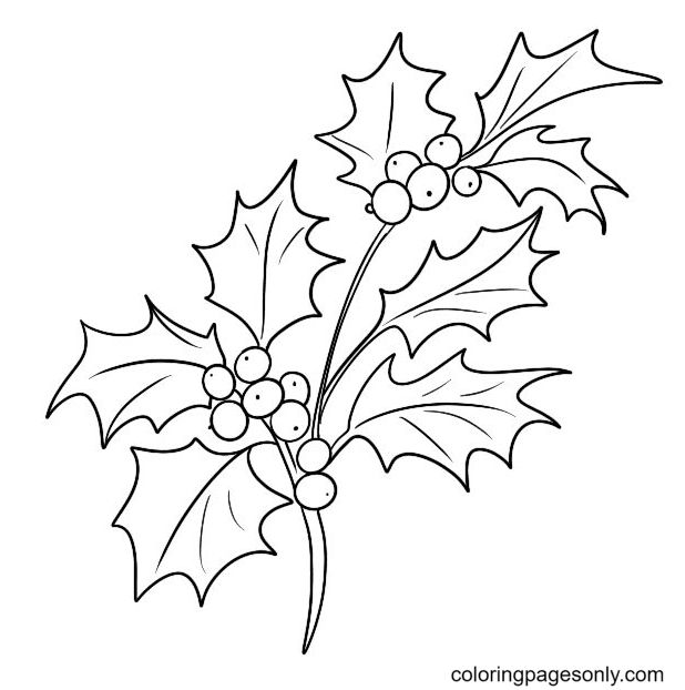 Christmas holly coloring pages