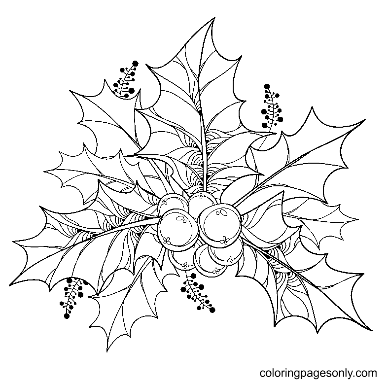 Christmas holly coloring pages printable for free download