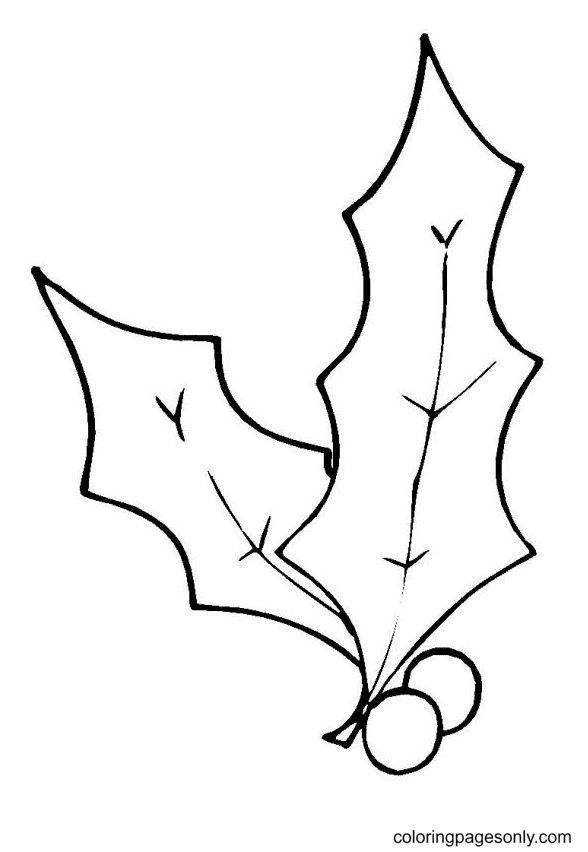 Christmas holly coloring pages