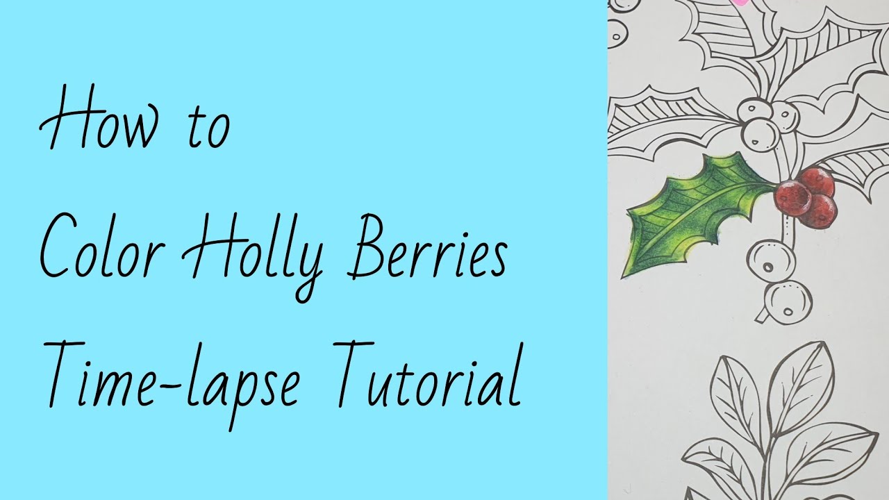 How to color holly berries tie lapse