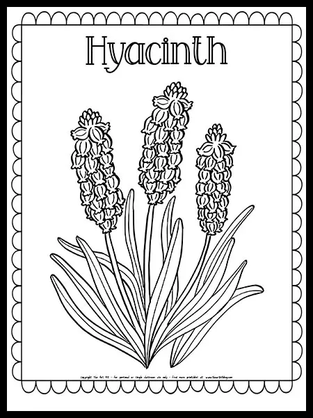 Hyacinth flower coloring page free printable â the art kit