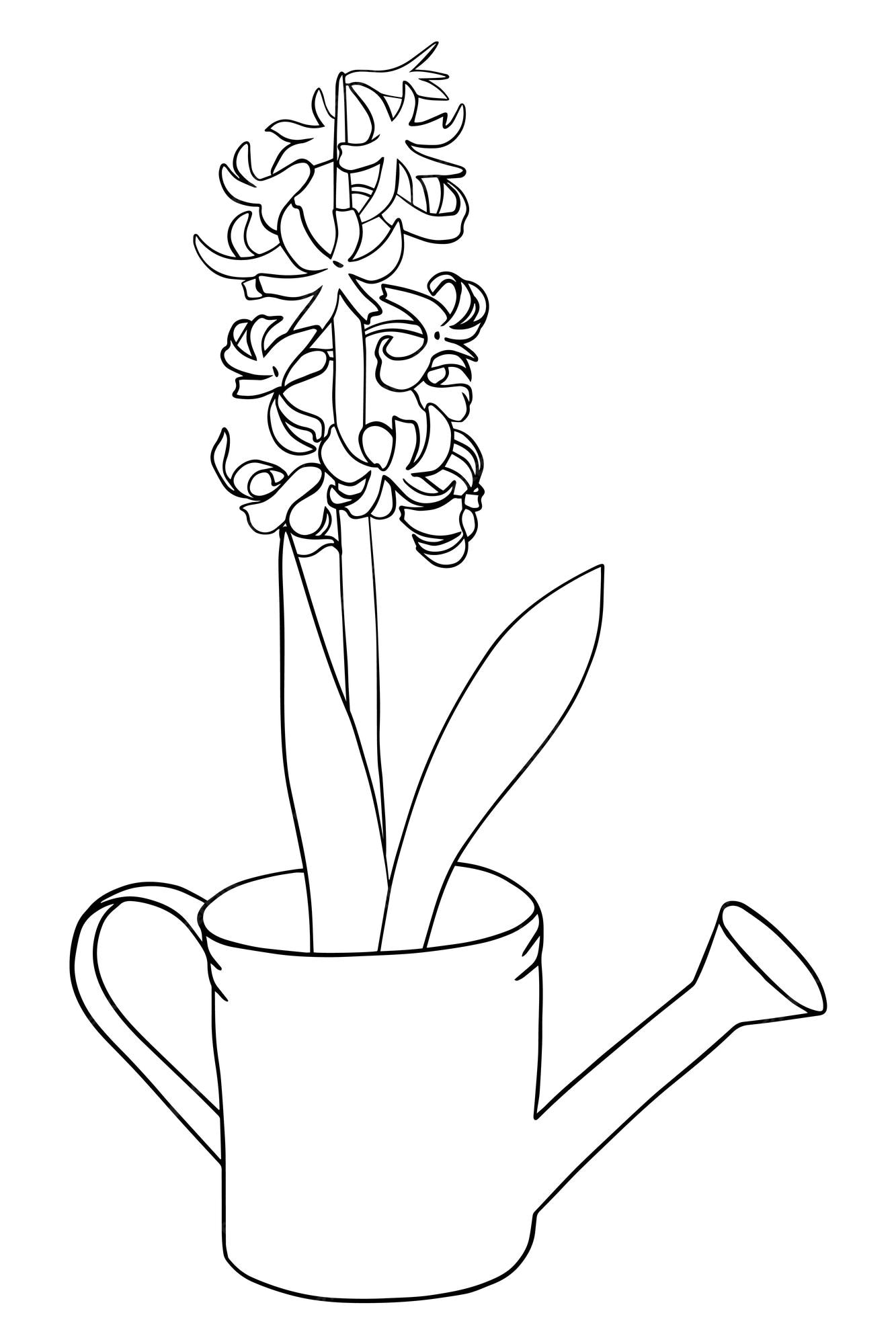 Premium vector hyacinth in a pot botanical coloring book doodle style