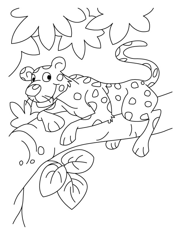 Baby leopard coloring pages download free baby leopard coloring pages for kids best coloring pages