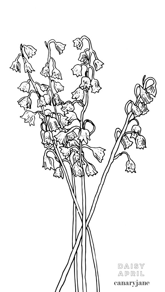 May lily of the valley birth flower background coloring page