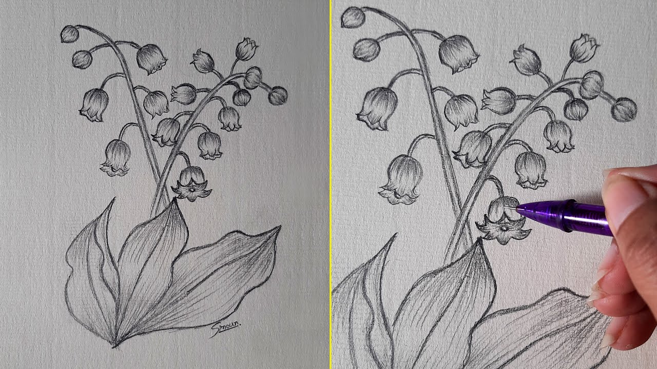 How to draw lily of the valley pencil sketch sinoun drawing