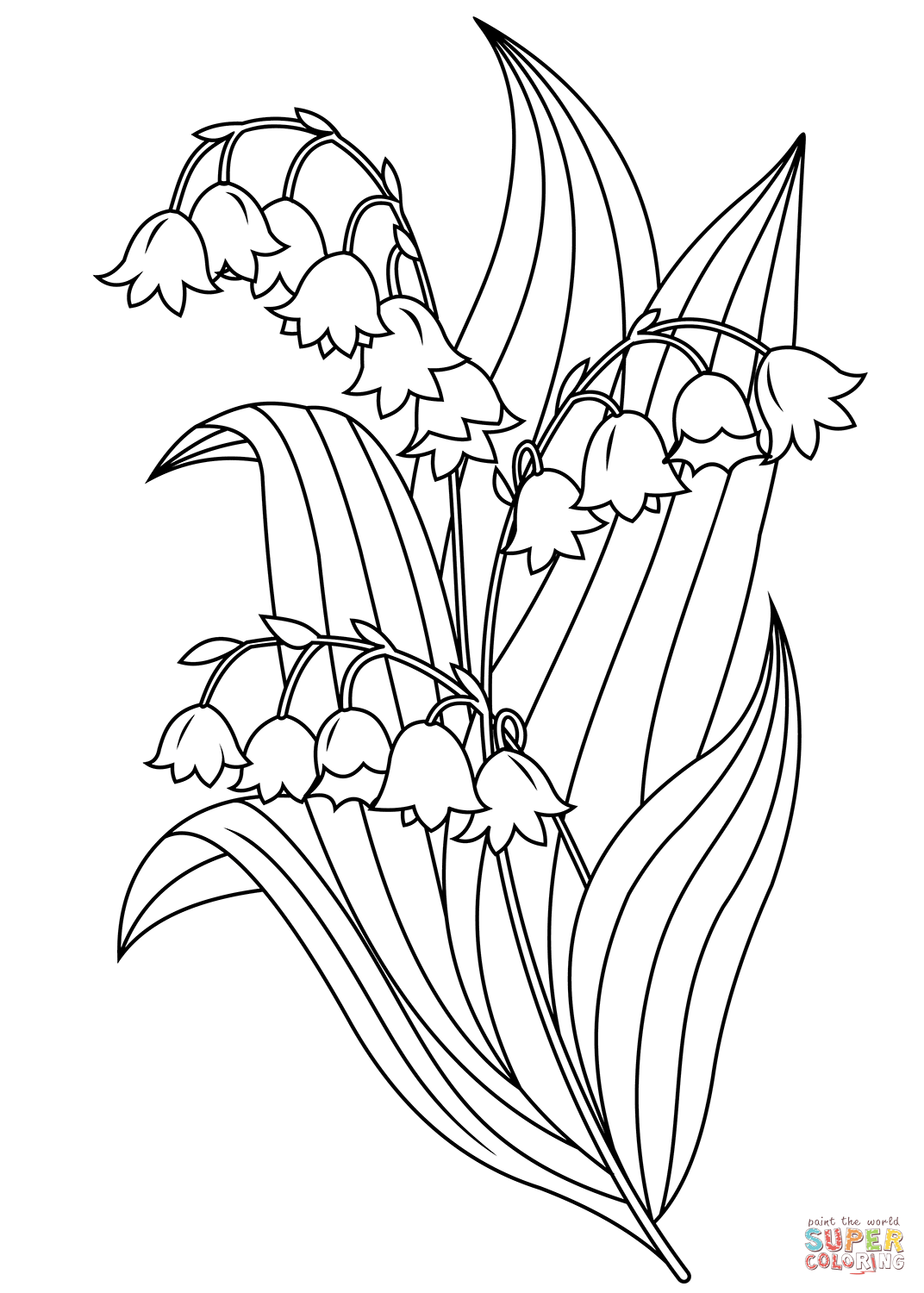 Lily of the valley coloring page free printable coloring pages
