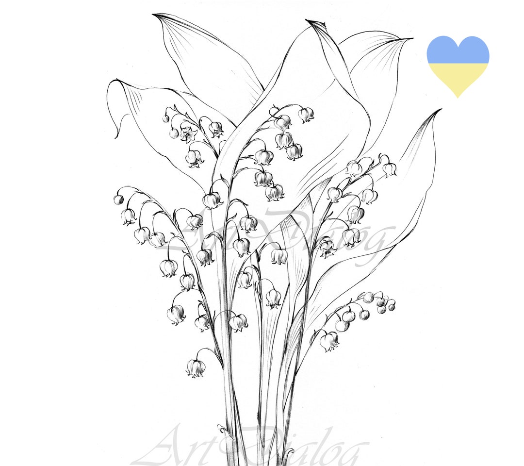 Lily of the valley sketch may birth flower large print flower coloring page line drawing botanical prints a hygge black white