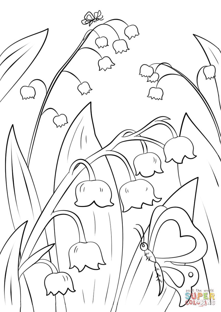 Lily of the valley coloring page free printable coloring pages