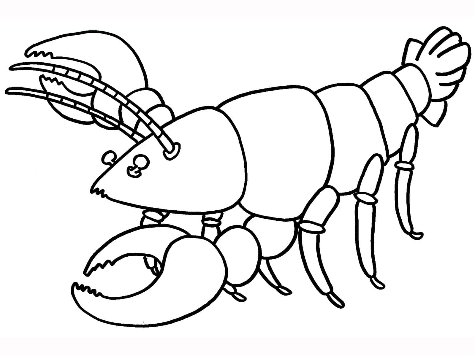Lobster for free coloring page