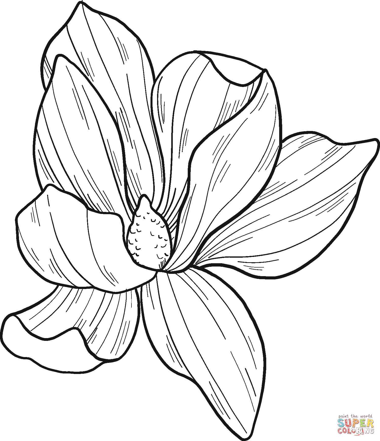 Magnolia flower coloring page free printable coloring pages