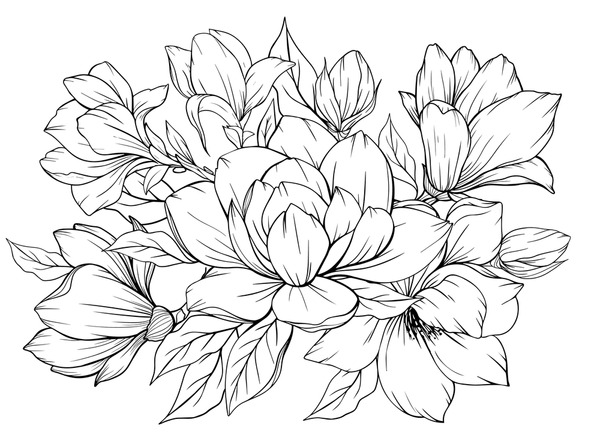 Botanical coloring pages royalty