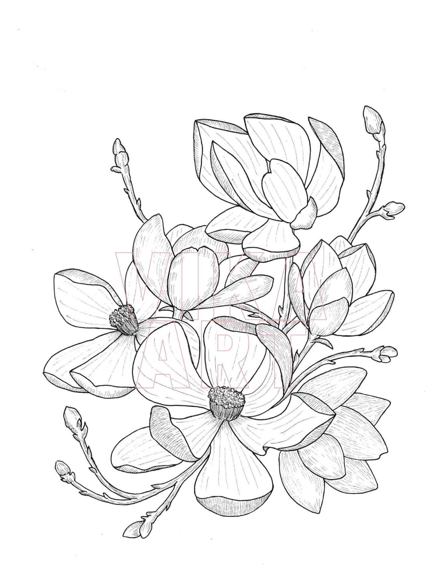 Magnolia flower coloring pageinstant download coloring page for adults