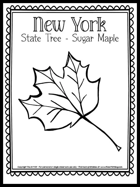 Free printable new york state tree coloring page sugar maple â the art kit