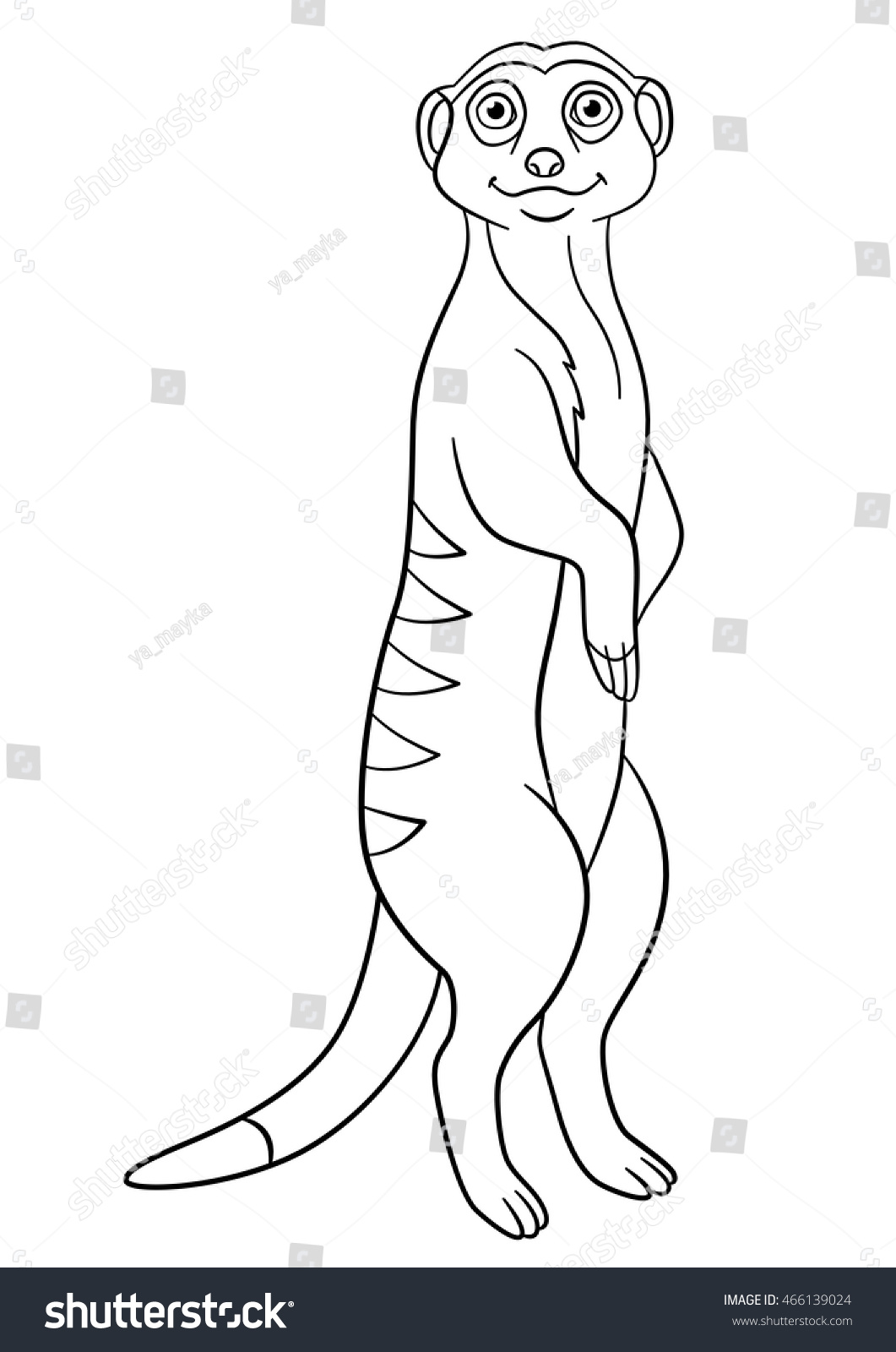 Coloring pages little cute meerkat stands stock vector royalty free