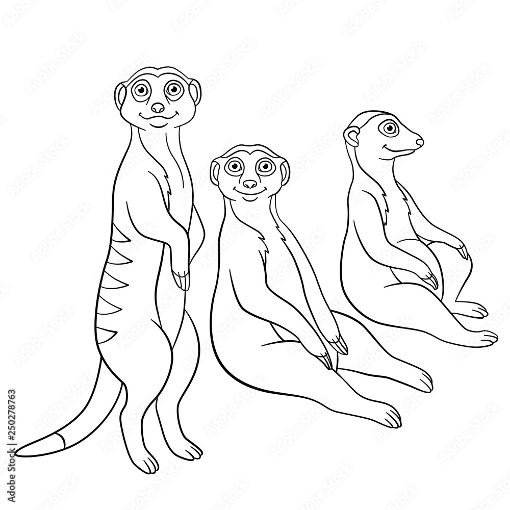 Coloring pages three meerkats smile vector