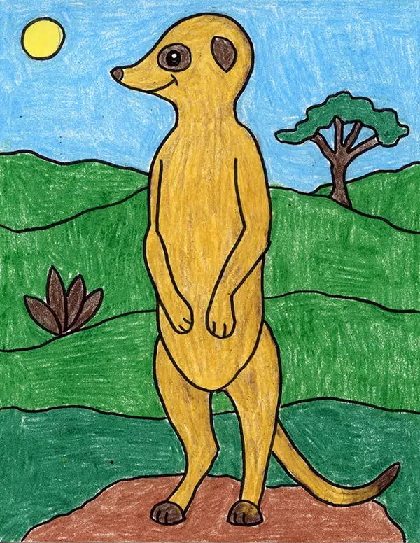 Easy how to draw a meerkat tutorial and meerkat coloring page