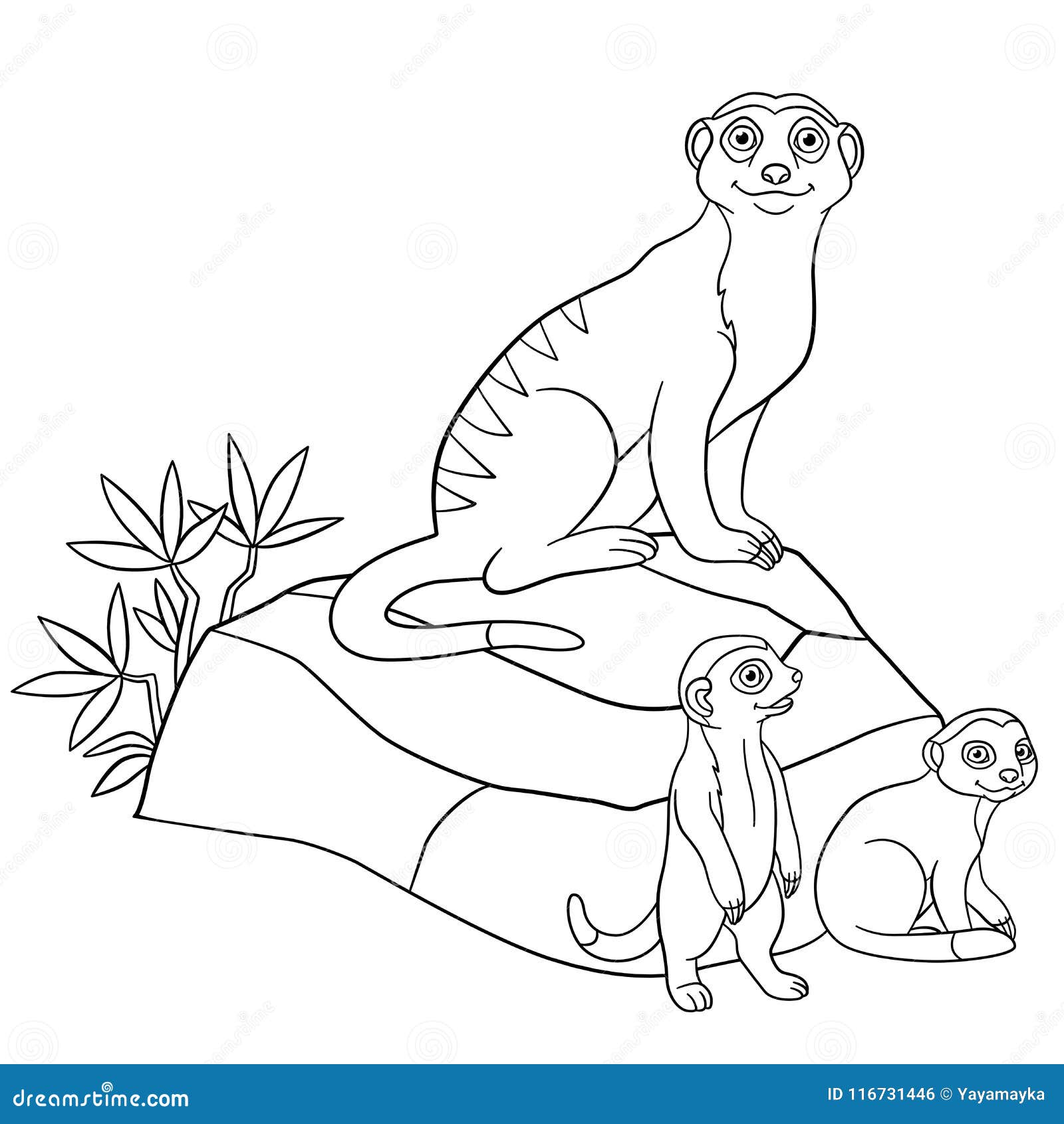 Coloring pages mother meerkat with her cute babies stock vector