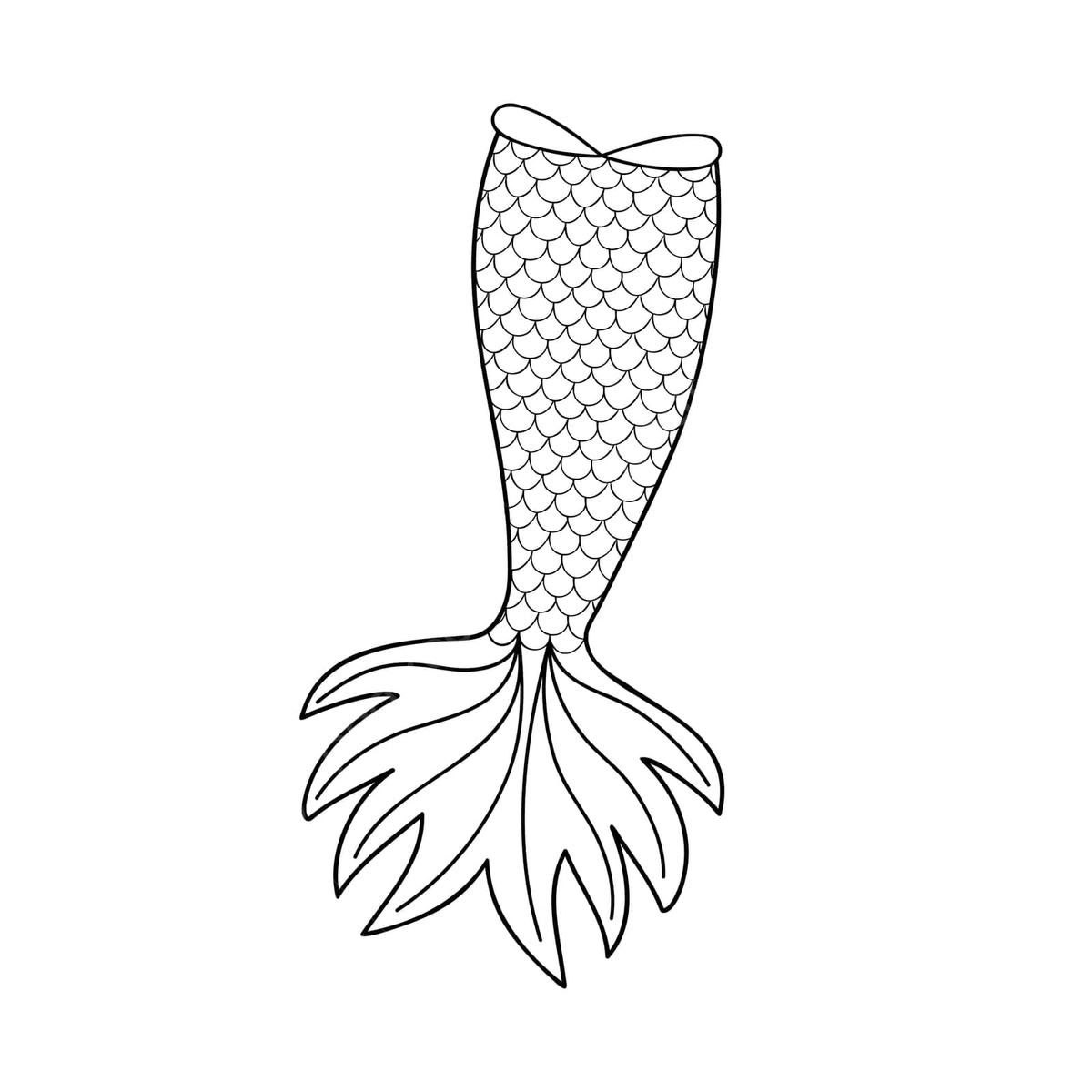 Mermaid tails outline png transparent images free download vector files