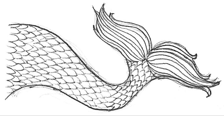 Free mermaid tail coloring page educative printable coloring pages ariel coloring pages wolf photos