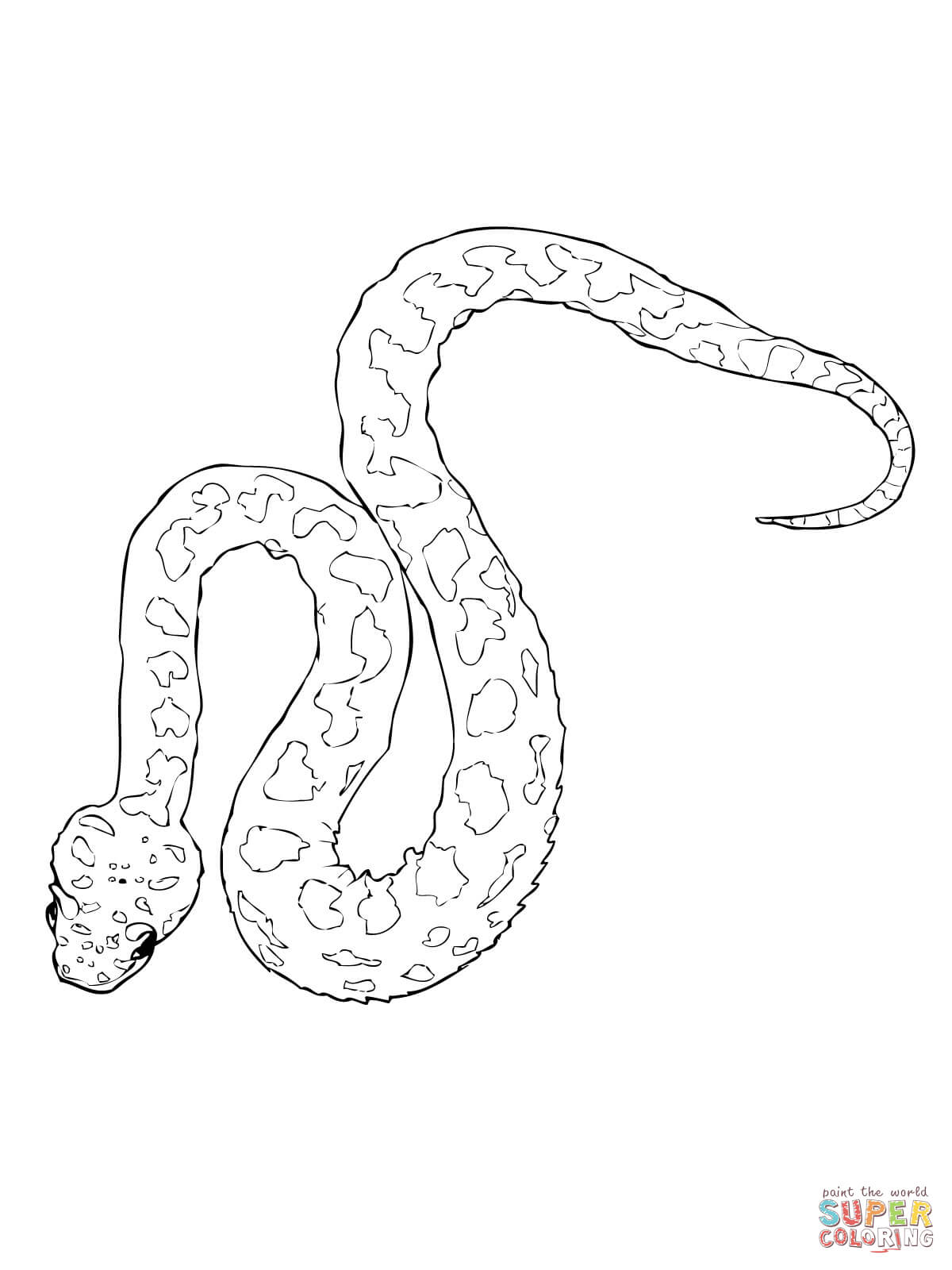 Horned viper coloring page free printable coloring pages