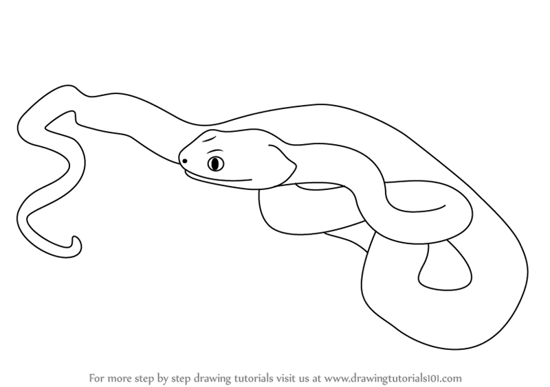 How to draw a pit viper reptiles step by step