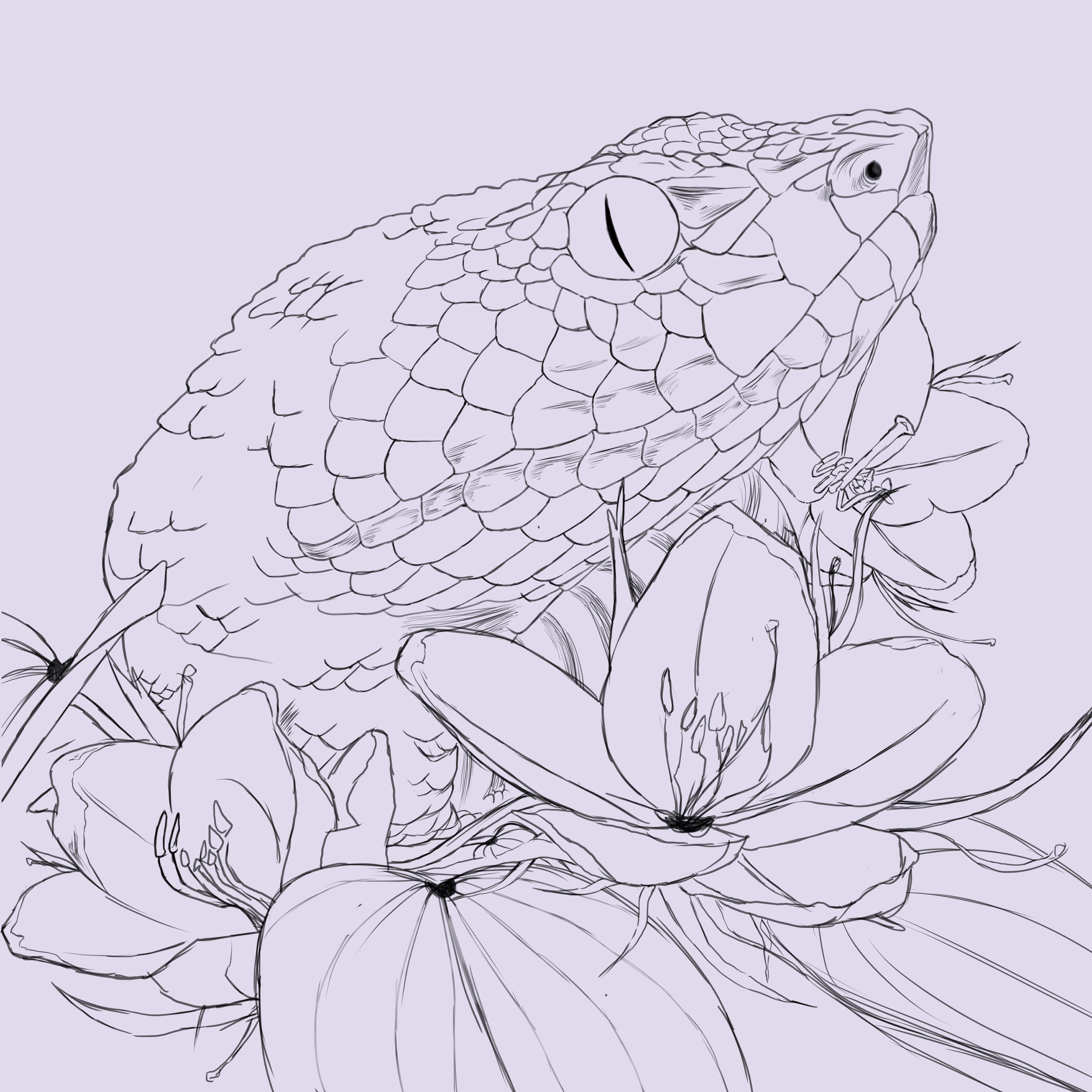 Work in progress of a pit viper painting rsnakes