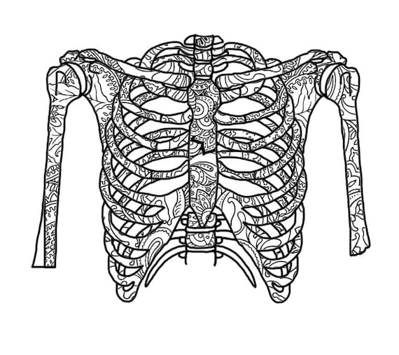 Zentangle rib cage pdf coloring page