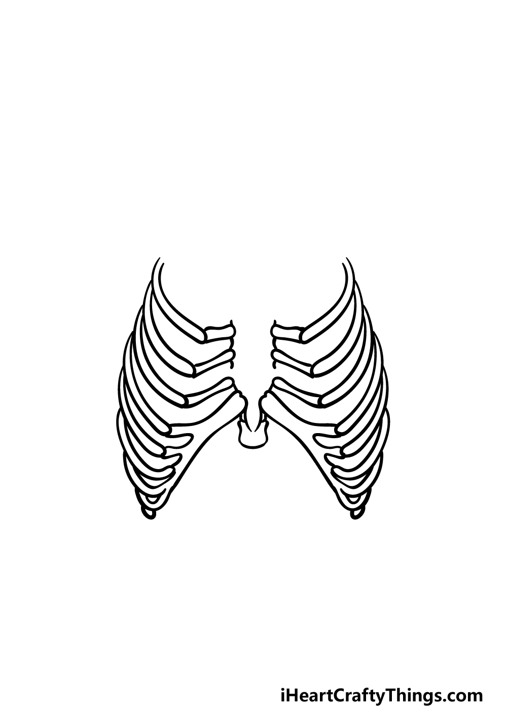 Rib cage drawing