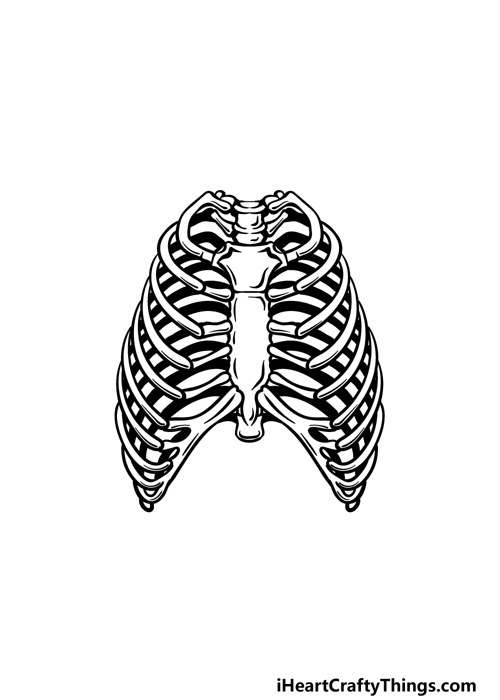 Rib cage drawing