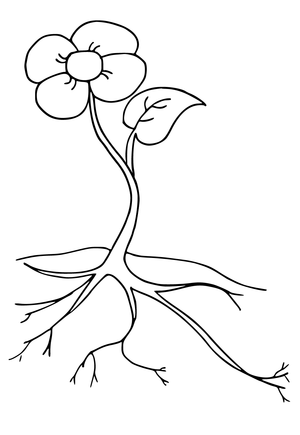 Free printable plant roots coloring page for adults and kids