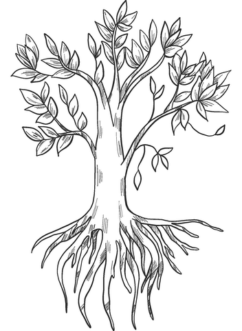 Tree with roots coloring page free printable coloring pages