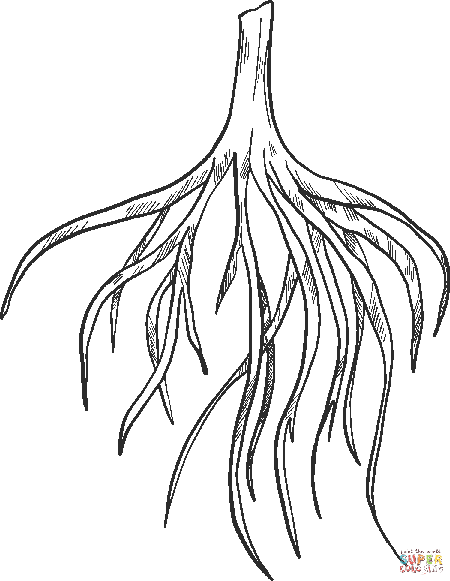 Tree roots coloring page free printable coloring pages