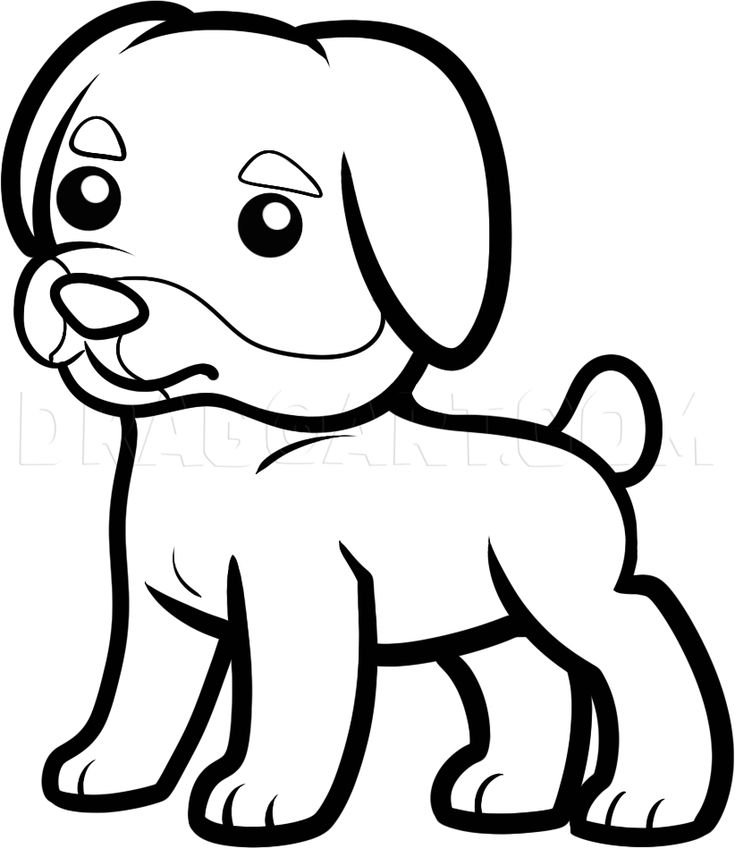 How to draw a rottweiler for kids step by step drawing guide by dawn dragoart puppy drawing puppy coloring pages puppy drawing easy