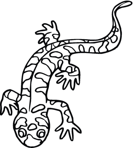 Tiger salamander coloring page free printable coloring pages