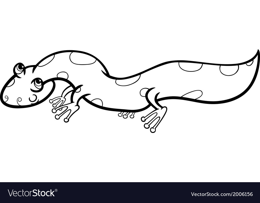 Salamander cartoon coloring page royalty free vector image