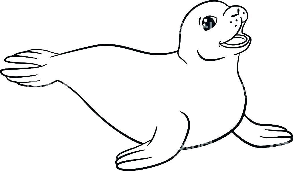 Sea lion coloring pages sea lion coloring page seal coloring sheets free printable seal coloring pâ lion coloring pages coloring pages zoo animal coloring pages