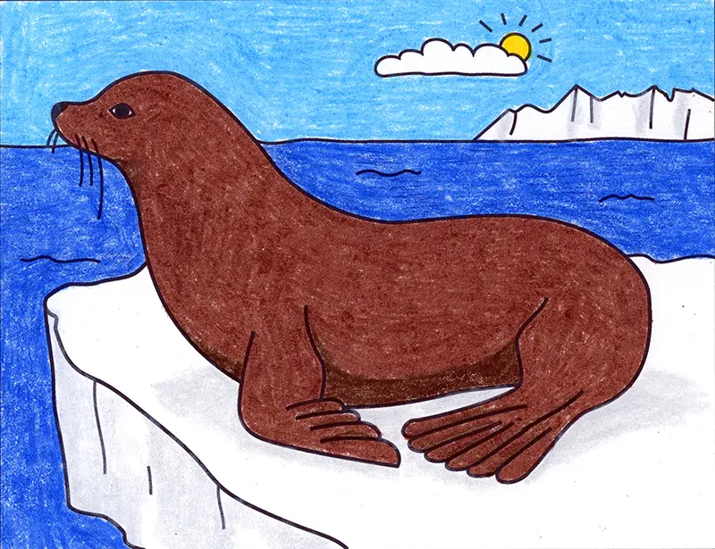 Easy how to draw a sea lion tutorial and sea lion coloring page