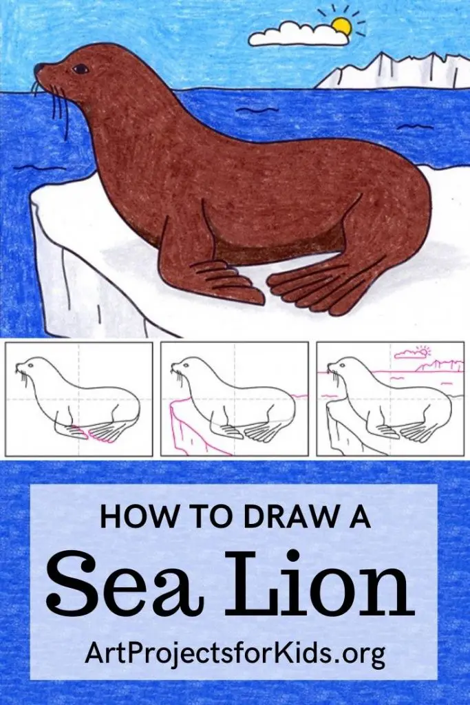 Easy how to draw a sea lion tutorial and sea lion coloring page