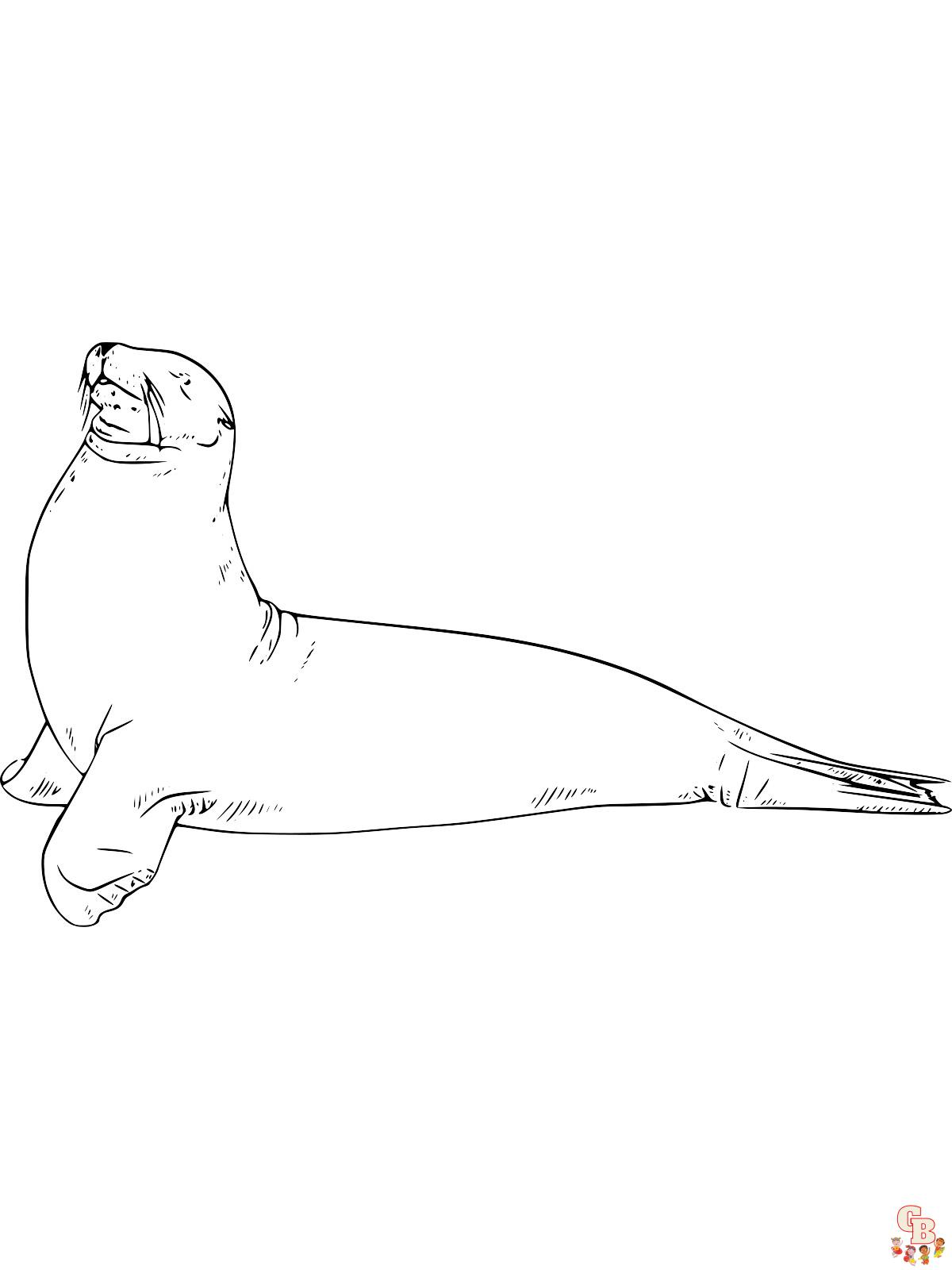 Enjoy free printable sea lion coloring pages