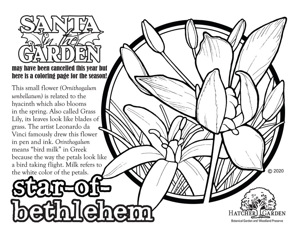 Coloring pages â hatcher garden