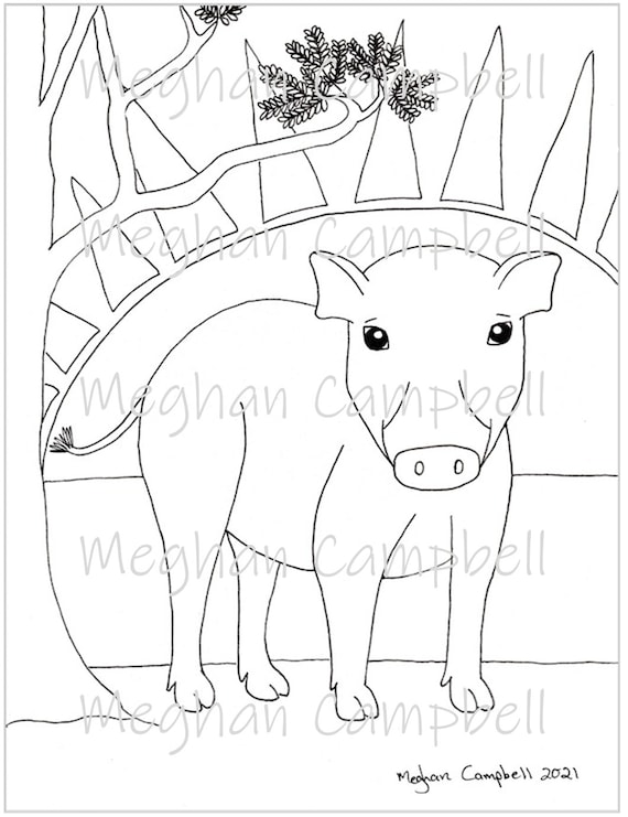 Warthog piglet printable coloring page