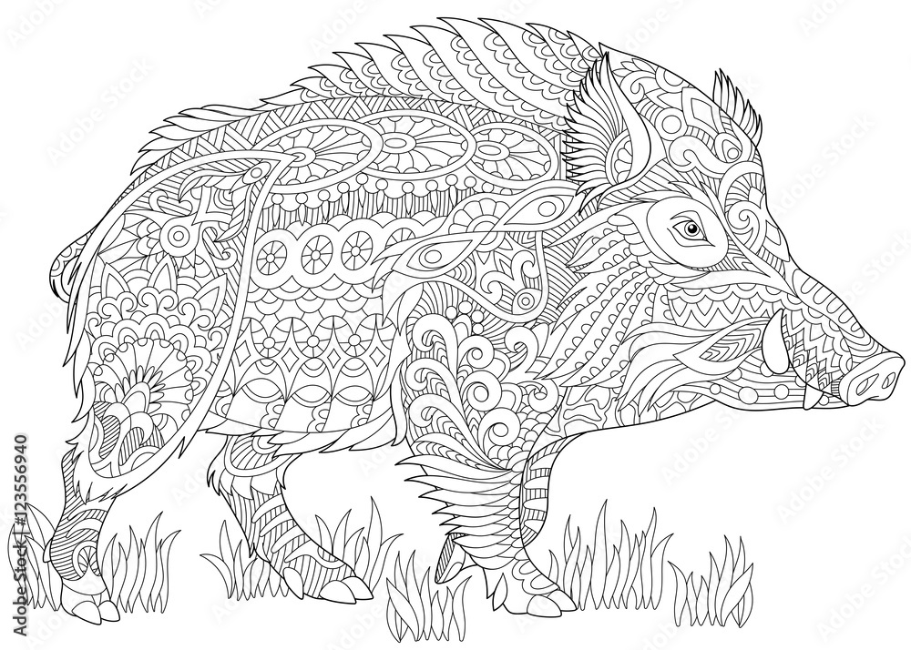 Stylized wild boar razorback warthog hog pig freehand sketch for adult anti stress coloring book page with doodle and zentangle elements vector